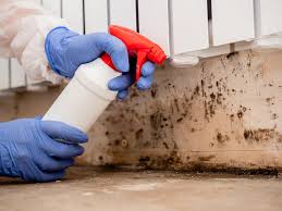 Best Asbestos and Lead Testing During Mold Inspection  in Newport, DE